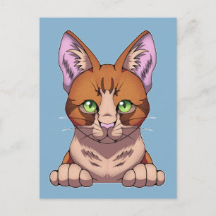 かわいい猫 ポストカード
