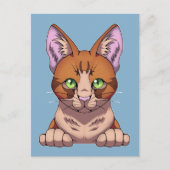 かわいい猫 ポストカード (正面)