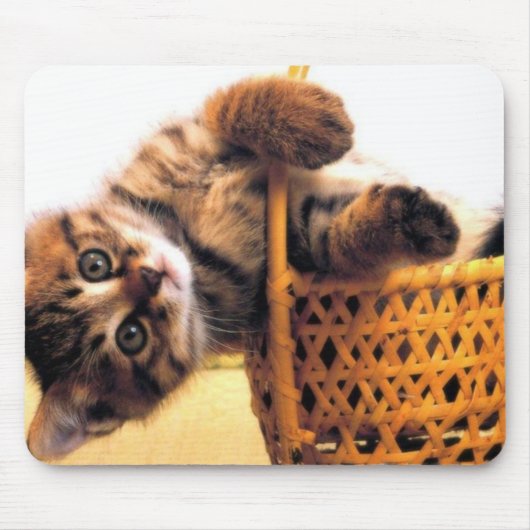 かわいい猫 マウスパッド (正面)