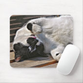 かわいい猫 マウスパッド (マウス)