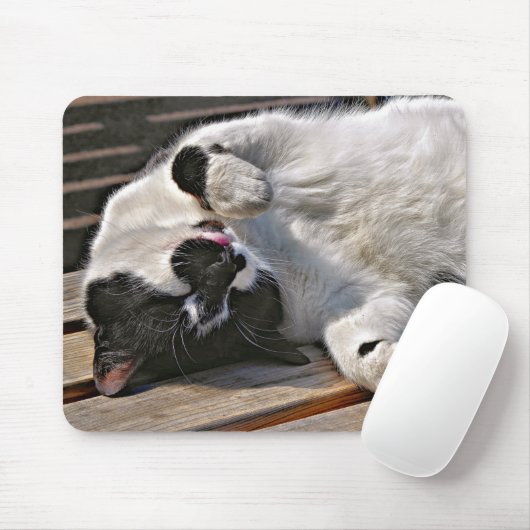 かわいい猫 マウスパッド (マウス)