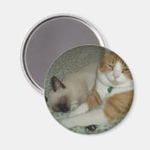 かわいい猫 マグネット (正面/裏面)