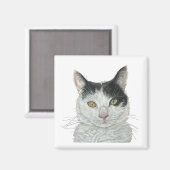 かわいい猫 マグネット (正面/裏面)