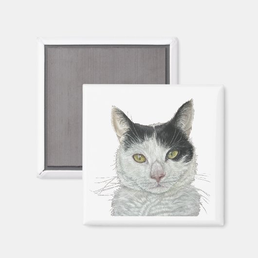 かわいい猫 マグネット (正面/裏面)