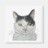 かわいい猫 マグネット (正面)