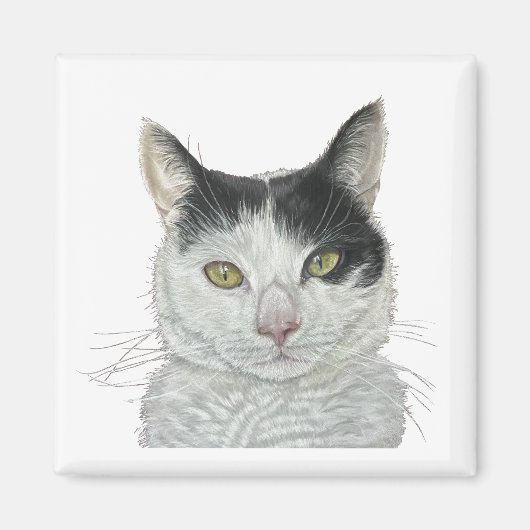 かわいい猫 マグネット (正面)