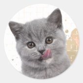 かわいい猫 ラウンドシール (正面)