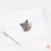 かわいい猫 ラウンドシール (封筒)