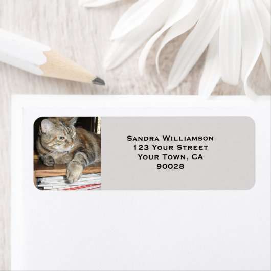 かわいい猫 ラベル (インサイチュ)