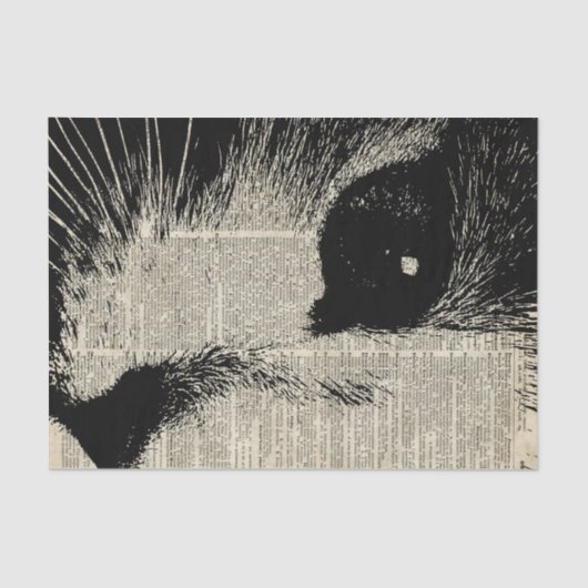 かわいい猫、古書のページ上の美しい子ネコのステンシル 薄葉紙 (正面)