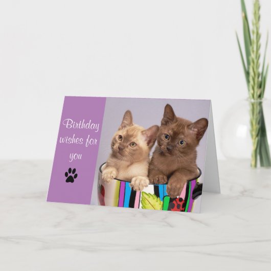 かわいい猫 誕生日おめでとう グリーティングカード (正面)