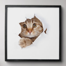 かわいい猫