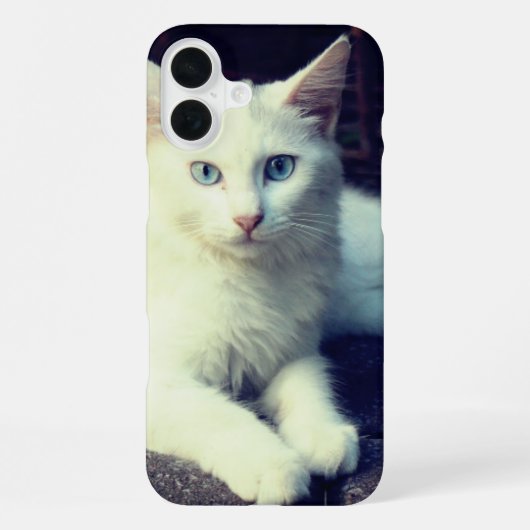 かわいい猫 iPhoneケース (裏面)