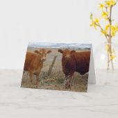 かわいい獣医卒業祝い牧場DVM カード (黄色い花)