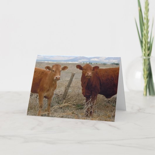 かわいい獣医卒業祝い牧場DVM カード (正面)