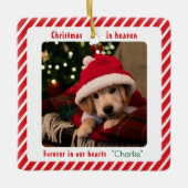 かわいい現代のペットメモリアル クリスマス オーナメント カスタム (正面)