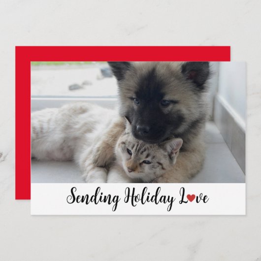 かわいい甘い子犬たちホリデーラヴを送る シーズンカード (正面/裏面)