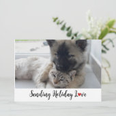 かわいい甘い子犬たちホリデーラヴを送る シーズンカード (スタンド正面)