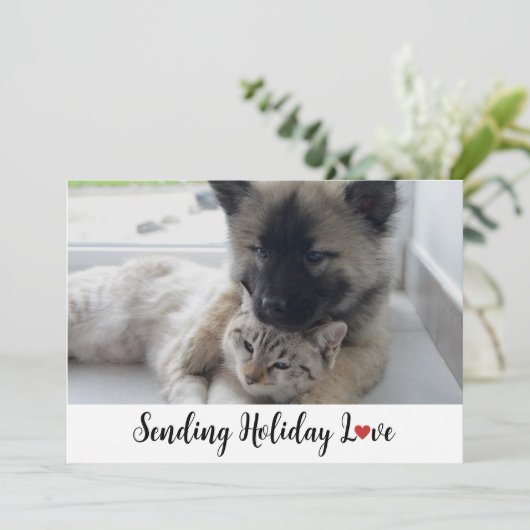かわいい甘い子犬たちホリデーラヴを送る シーズンカード (スタンド正面)