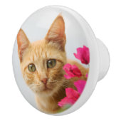 かわいい生姜の子猫が見守る、装飾 セラミックノブ (右)