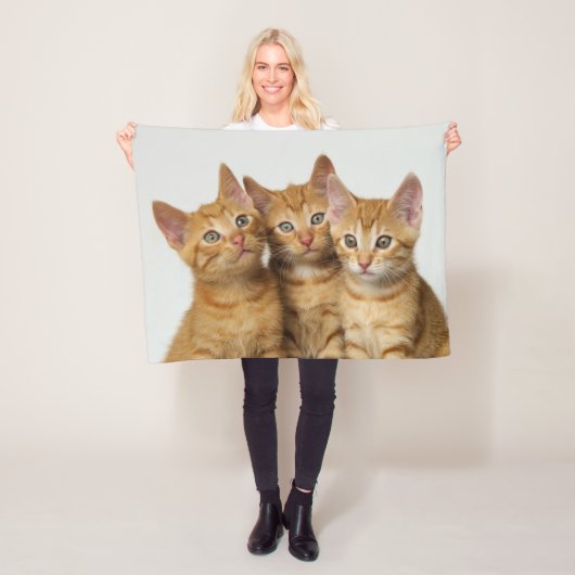 かわいい生姜の子猫が3匹並んで – フリースブランケット (インサイチュ)
