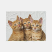 かわいい生姜の子猫が3匹並んで – フリースブランケット (正面(横))