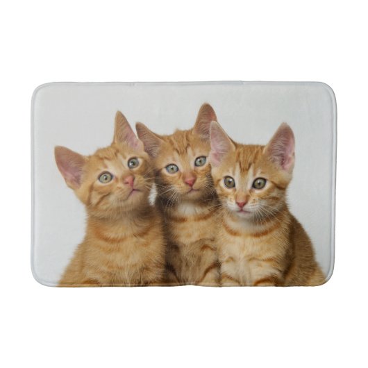 かわいい生姜の子猫3体、じゅうたん バスマット (正面)