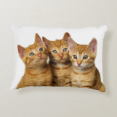 かわいい生姜3匹が友達を子猫に アクセントクッション (裏面)