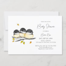 かわいい男女兼用《鳥》アメリカゴガラベビーシャワー