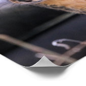 かわいい男 ポスター (角)