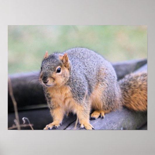 かわいい男 ポスター (正面)