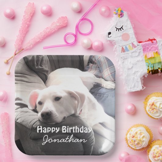 かわいい疲れた白犬と友達最高ののパパ ペーパープレート (パーティー)