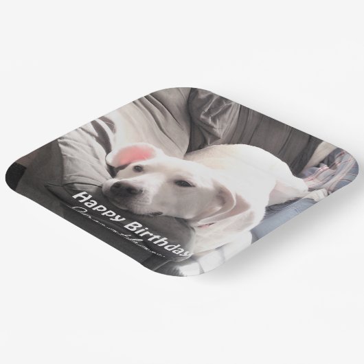 かわいい疲れた白犬と友達最高ののパパ ペーパープレート (傾斜あり)