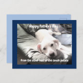 かわいい疲れた白犬のぶら下がったパパ姿の写真 シーズンポストカード (正面/裏面)