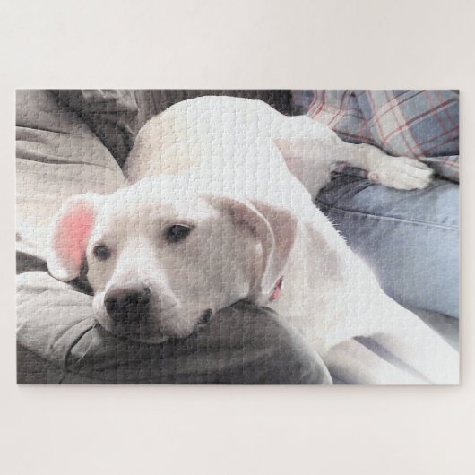 かわいい疲れた白犬のぶら下がったパパ姿の写真 ジグソーパズル (横)