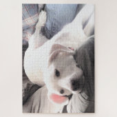 かわいい疲れた白犬のぶら下がったパパ姿の写真 ジグソーパズル (縦)