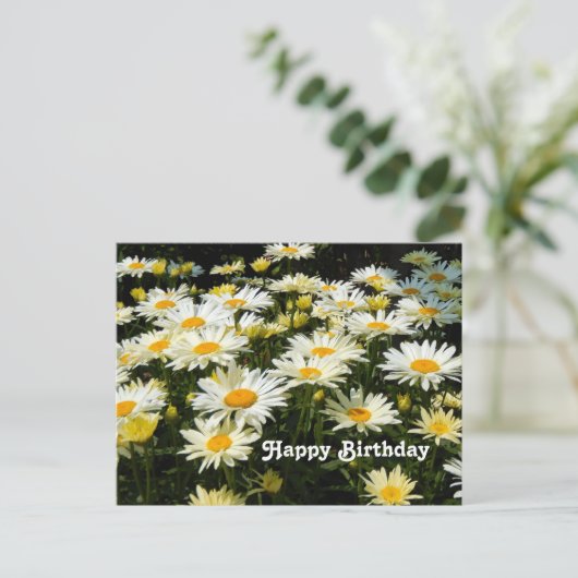 かわいい白いデイジーの庭の花の写真 誕生日 ポストカード (スタンド正面)