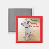 かわいい白いトナカイの子犬の写真 クリスマス マグネット (正面/裏面)