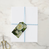 かわいい白いバラ前向きの ギフトタグ (より糸付き)