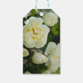 かわいい白いバラ前向きの ギフトタグ (正面)