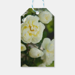 かわいい白いバラ前向きの ギフトタグ