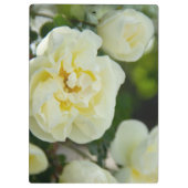 かわいい白いバラ前向きの クリップボード (裏面)