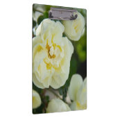 かわいい白いバラ前向きの クリップボード (右)