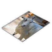 かわいい白いヤギの写真 ノートブック (左側)