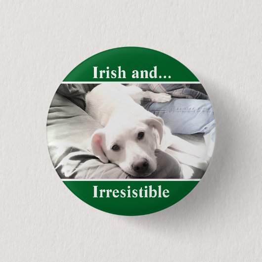 かわいい白いラブラドールミックスの写真St. Patrick's Day 缶バッジ (正面)