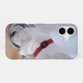 かわいい白いラブラドールミックスの子犬が水を飲む iPhone 16ケース (裏面横)