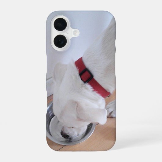 かわいい白いラブラドールミックスの子犬が水を飲む iPhone 16ケース (裏面)