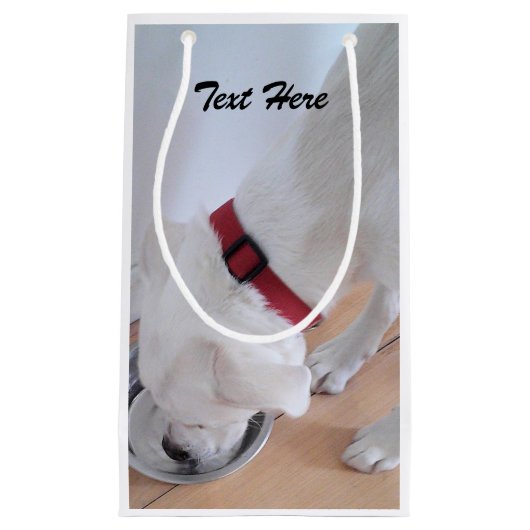 かわいい白いラブラドールミックス子犬の飲料水 スモールペーパーバッグ (正面)