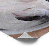 かわいい白いラブラドールミックス子犬の飲料水 ポスター (角)