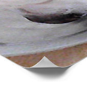 かわいい白いラブラドールミックス子犬の飲料水 ポスター (角)